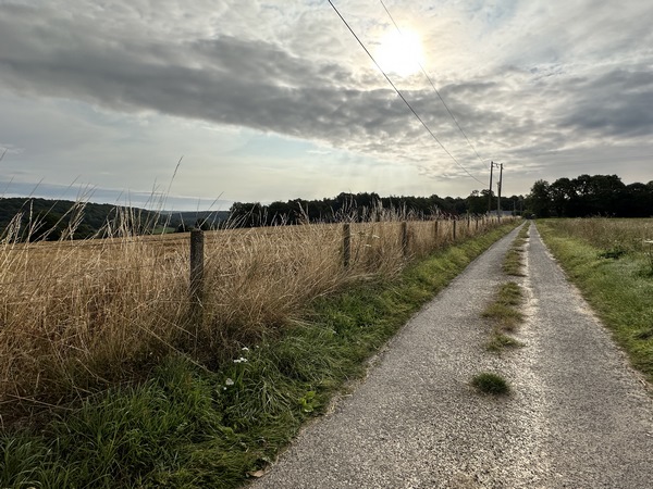 Sur les hauteurs de Préaux, nous prenons cette petite route des Châtaigniers qui devient chemin à la lisière du bois.