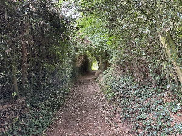 Nous entrons dans Selles par le chemin des Chaumières.
