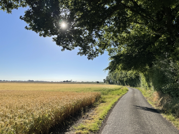 Il nous faudra attendre plus de 4 km pour découvrir notre premier chemin, mais les petites routes utilisées sont aussi charmantes, et aussi désertes que des chemins.