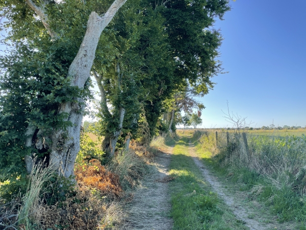 Après la traversée de la D47, nous entrons sur notre premier chemin.
