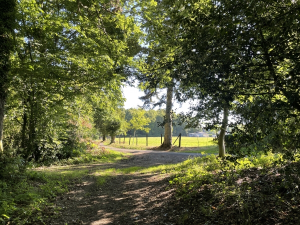Petite clairière à la Buissonnière. Nous allons suivre la petite route à droite, et continuer sur le chemin qui la prolonge.