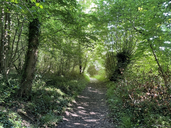 Nous sommes sur le coteau ouest de la Risle, toujours dans le bois d'Avranches.