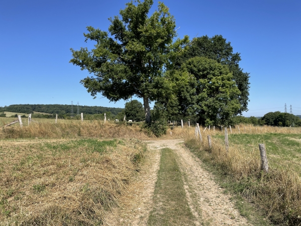 Nous allons quitter le GR et tourner à gauche pour monter vers le Mont du Lys.