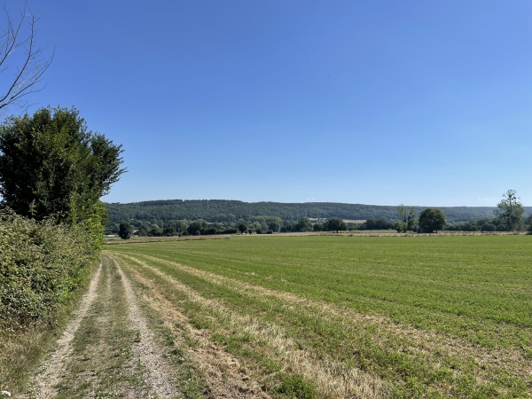 Regard arrière vers la vallée de la Risle.