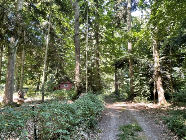 Nous sommes maintenant dans le bois qui couvre le coteau est du Ruisseau Saint-Christophe. Le chemin est large jusqu'aux dernières cabanes.
