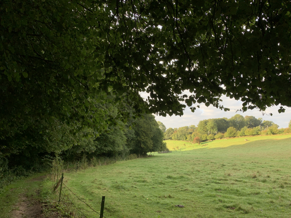 Nous suivons le chemin du vallon, entre le bois du coteau et les prairies. C'est l'un de ces chemins qui justifie à lui seul de refaire cette randonnée.