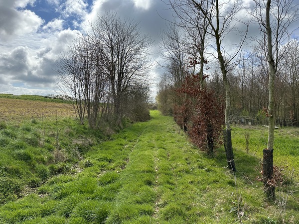Cette petite boucle, au nord du circuit, a été supprimée du circuit officiel. On imagine la raison : contrairement aux apparences, ce chemin est très spongieux, et devient boueux par endroits. Il longe la station d'épuration et on se demande s'il ne lui sert pas de trop plein... Un jour sec comme ce jour-là, on peut le suivre sans problème.