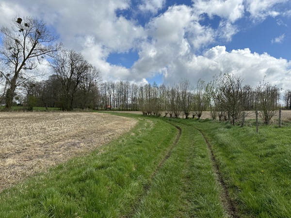 Nous continuons sur le Chemin des Foires en direction de Mont de Bourg.