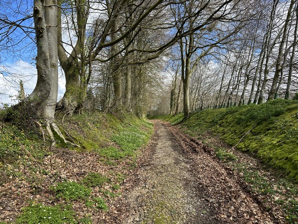 Nous entrons dans Mont de Bourg par ce chemin creux.