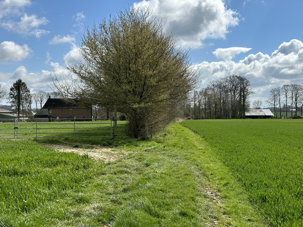 Nous marchons vers le sud sur le chemin des Epis.