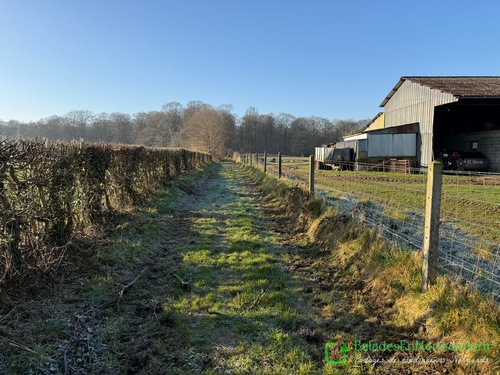 Nous traversons Beauvoir-en-Lyons, et rejoignons le chemin qui prolonge la rue du Chouquet.