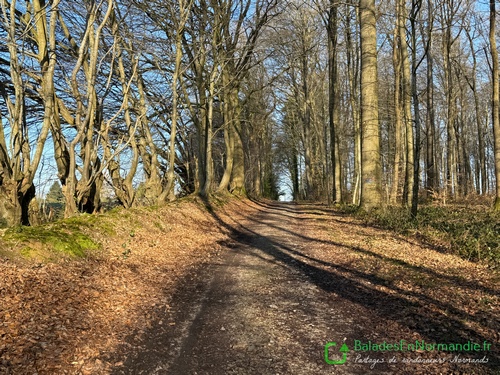 Nous quittons l'allée pour tourner ici vers le hameau des Livrées.