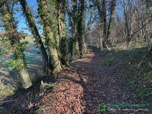 Nous descendons dans la Marche au Diable, en direction du hameau des Grands Genêts.