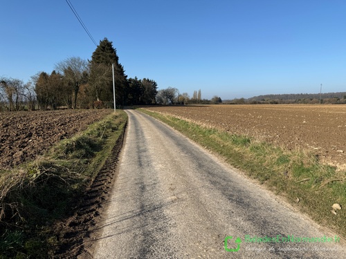Les chemins sont nombreux sur ce circuit, et les rares routes sont désertes.