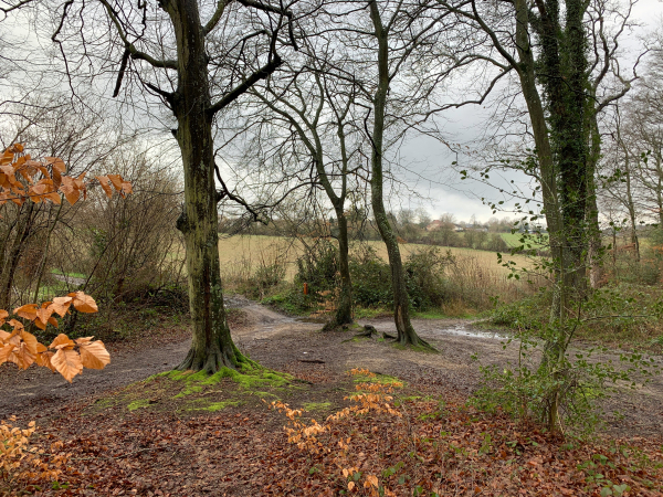 La route forestière de Bosc-Bénard se termine ici. Nous n'allons pas suivre en face le Chemin de Beauvais qui conduit au hameau des Essarts, mais nous allons prendre légèrement à droite et suivre le chemin de lisière qui marque la frontière entre l'Eure et la Seine-Maritime.