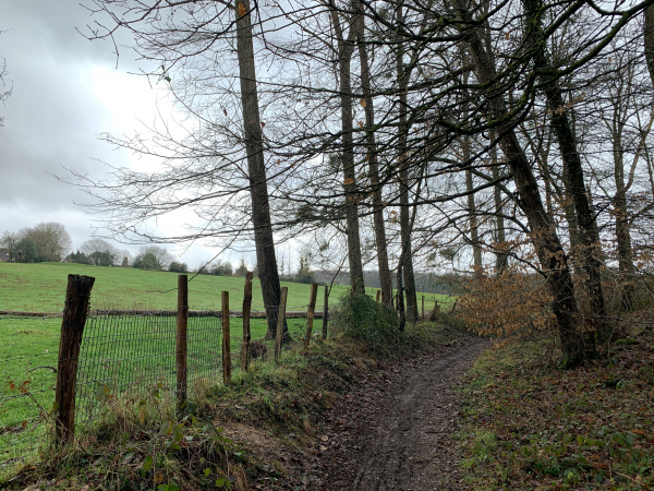 Le chemin en lisière de forêt est un peu plus boueux que ceux que nous avons suivis précédemment, mais rien qui fasse perdre à ce circuit son parapluie vert.