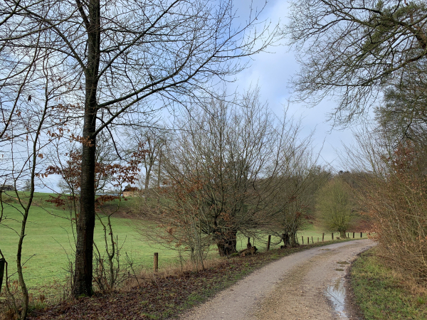 Nous quittons le chemin pour suivre cette petite route du Camp Héroult. Hector Malot, qui a vécu son enfance à Bosc-Bénard-Commin, évoque ce nom dans l'un de ses livres. Au bout de la route, se trouve le château du même nom.