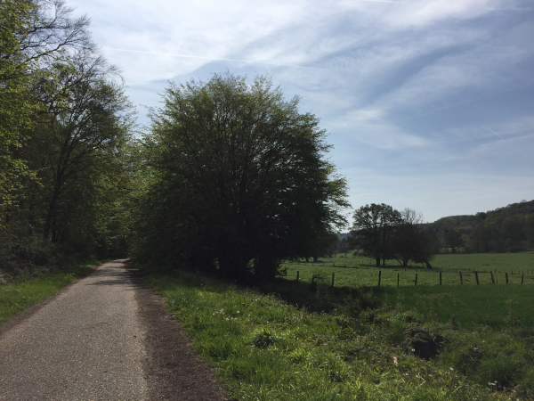 Nous marchons maintenant sur la route forestière du val Amelot, dans la vallée de la Lieure.