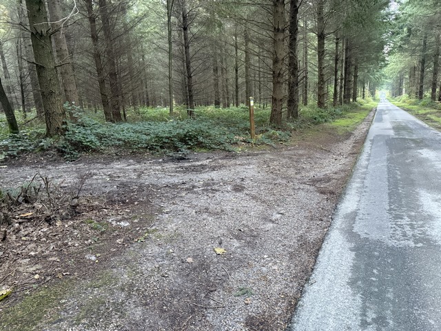 Dans le bois Saint-Denis, il ne faut pas rater le prochain chemin qui est ici à gauche. C'est un chemin qui traverse le bois pour rejoindre les Petites Ventes.