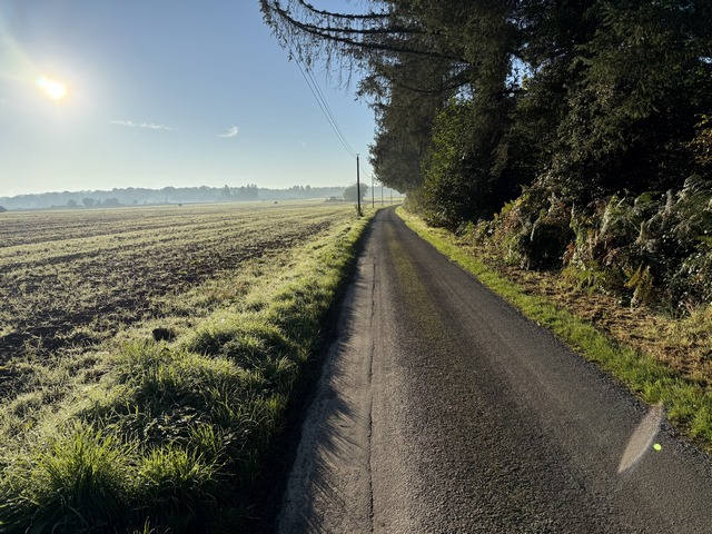 Nous sommes maintenant en lisière de bois et marchons vers le hameau des Houis.