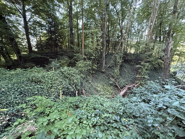 Nous longeons l'ancienne motte castrale de Saint-Denis-le-Thiboult. La silhouette de la motte et le fossé sont encore bien visibles. Quelques traces de maçonnerie émergent de la végétation près de l'ancien accès.