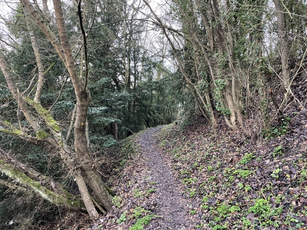 Nous montons sur le coteau de Seine en suivant le GR2.