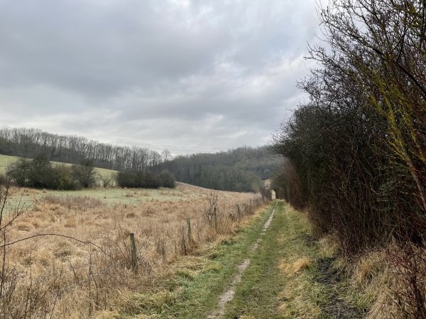 Le chemin de la Vallée au Gué descend en pente douce vers l'Eure.