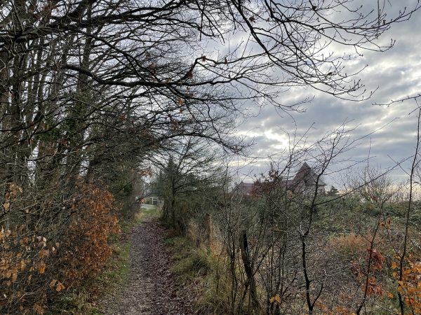Avant d'arriver sur la berge de l'Eure, nous montons le sentier de la Côte Heurtevent pour rejoindre le hameau des Monts.