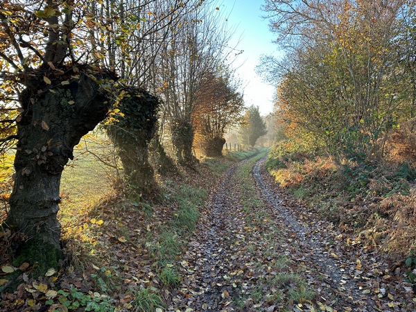 Aux Cauvins, je tourne sur ce chemin en suivant les balises jaunes du circuit de la Vaquette (mini circuit de 4 km).