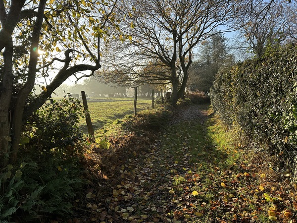 Au hameau des Rabots, nous prenons les délicieux chemins qui traversent le bocage.
