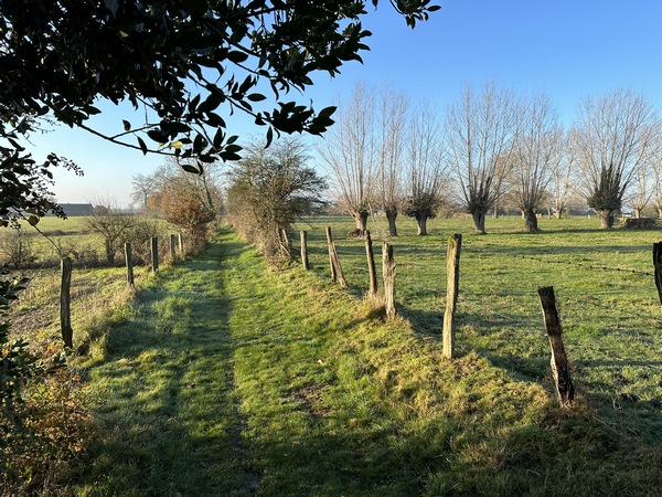 Les paysages sont typiques du Roumois, avec cette alternance de champs entourés de haies, et de bois.