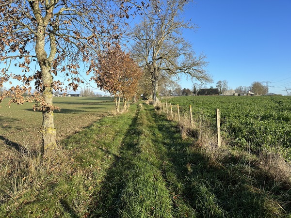 Je tourne maintenant vers le nord, sur ce chemin frontière entre Corneville-sur-Risle et Appeville-Annebault.