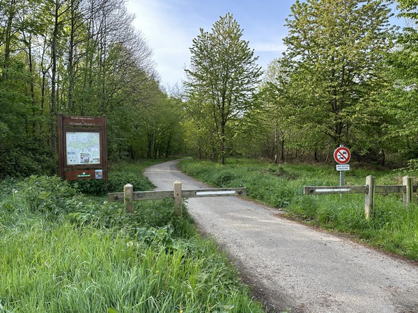 Je pars du parking forestier proche de la rue du Pavillon au Petit Essart (Grand-Couronne) et je suis la route de l'ancienne maison forestière des Roches.