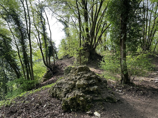 J'arrive près des ruines du château de la Roche Fouet. Il ne reste que quelques vestiges, et un arbre remarquable qui a poussé sur les ruines d'une des tours du château. (Voir d'autres photos dans l'album)