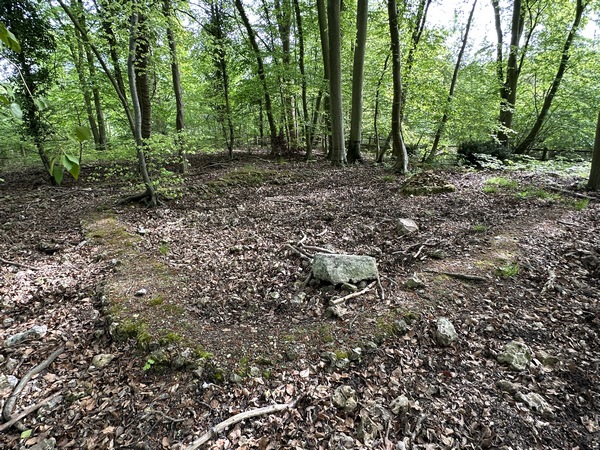 Il ne reste pas grand chose de l'oppidum d'Orival, mais les fondations du fanum (temple romain)&nbsp; sont bien visibles.