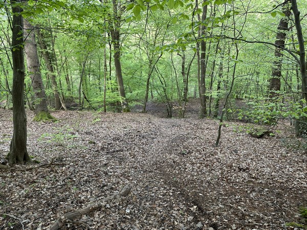 Je descends de l'oppidum en traversant des talus rectilignes des anciennes fortifications.