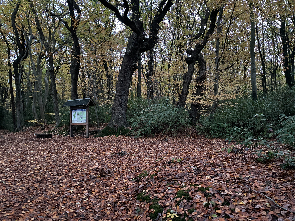 Au carrefour, nous allons prendre à droite pour suivre le Chemin de Ronde.