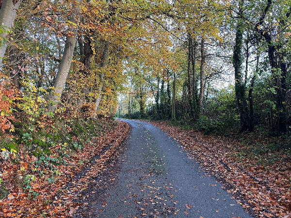 Nous quittons les bois du Breuil pour prendre le chemin du Grand Clos à Equemauville.