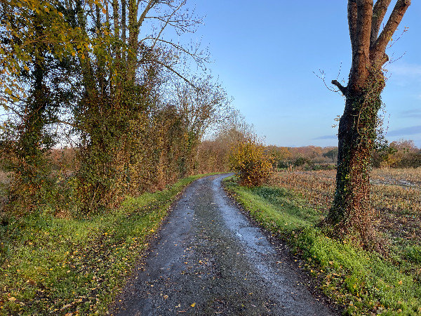 Nous traversons la plaine du Mesnil sur le chemin des Riboussailles.