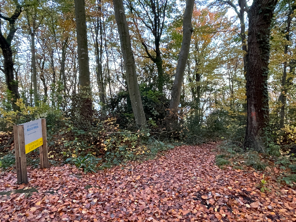 A la limite du plateau, nous quittons le bois et le GR223 pour descendre vers la plage par le chemin de Bretagne.