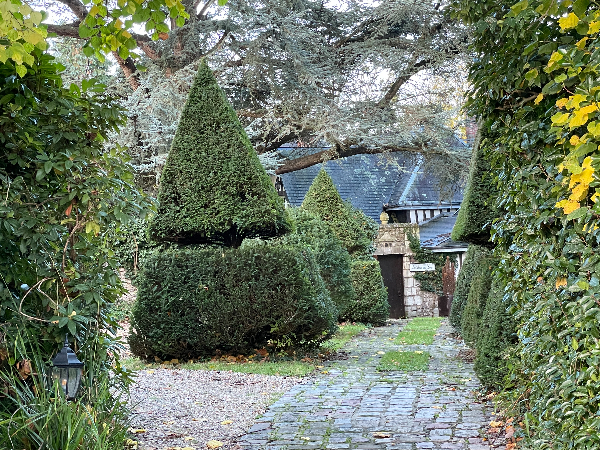 La Mare aux Loups au bout de son allée.