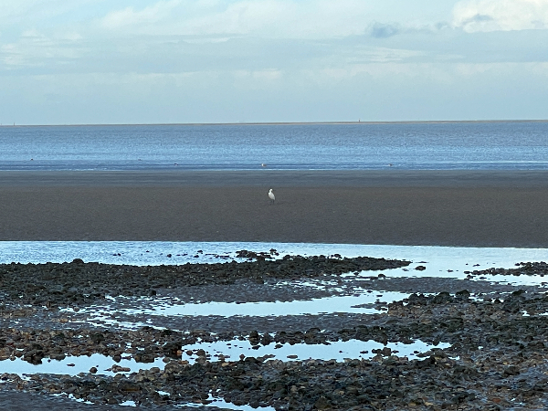 La plage de Pennedepie est découverte par la marée. Nous sommes à marée montante, il faut éviter de s'approcher de la mer...