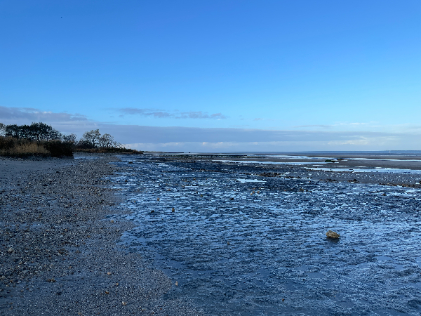Le spectacle de cette longue plage est hors-norme.