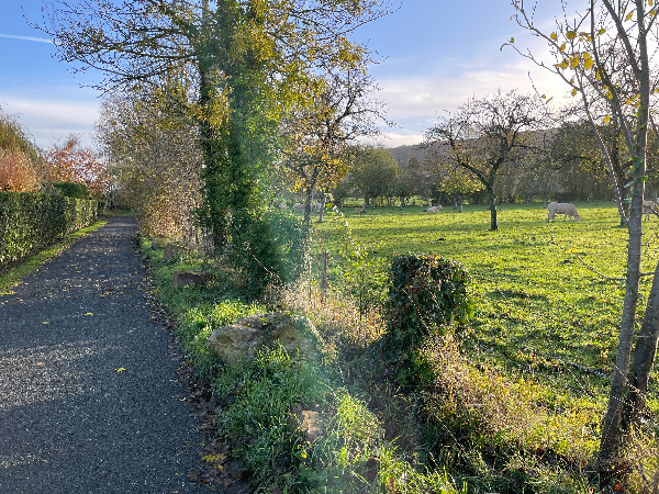 Ce chemin se glisse entre la Sergenterie et les prés.