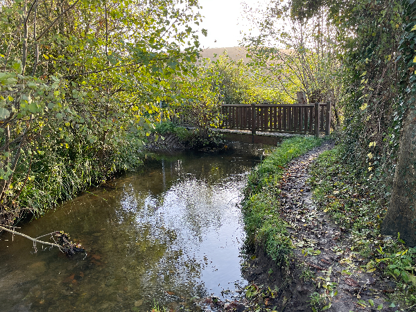 Après la Sergenterie, le chemin devient un sentier. Nous retrouvons le ruisseau de Barneville, que nous avons franchi tout à l'heure sur la plage.