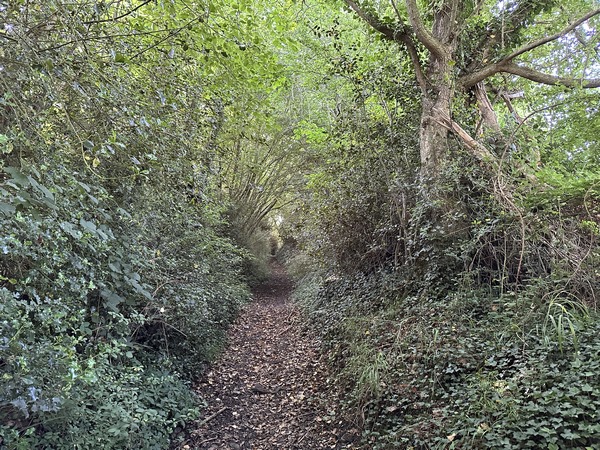 Le chemin de la vallée nous conduit vers la petite route Chemin de la Galoche.