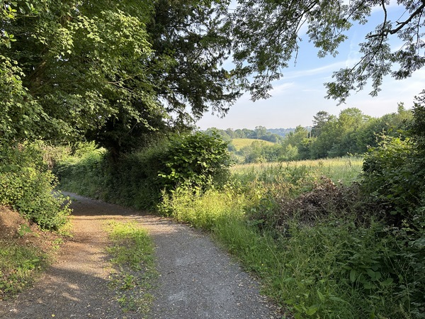 Nous tournons vers l'est sur le chemin du Bois. Quelques ouvertures dans la végétation permettent de profiter des paysages vallonnés du Pays d'Auge.