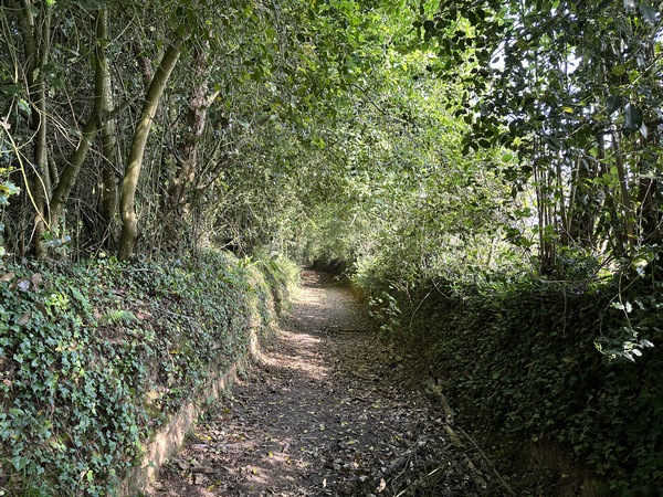 Nous avons tourné vers le nord dans ce vieux chemin creux.