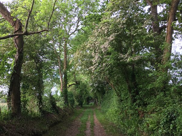 L'essentiel de cette balade se fait sur route, mais quelques chemins ont été préservés, comme ici au hameau de Villiers.
