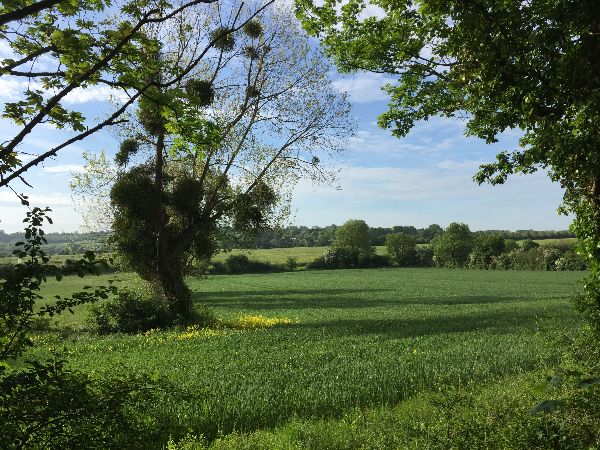 Dernier coup d'oeil sur la plaine avant d'entrer à nouveau dans Port-en-Bessin.